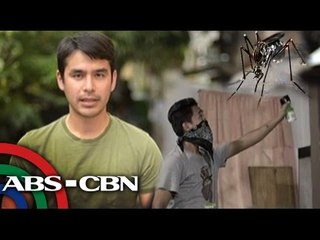 How to protect yourself from dengue