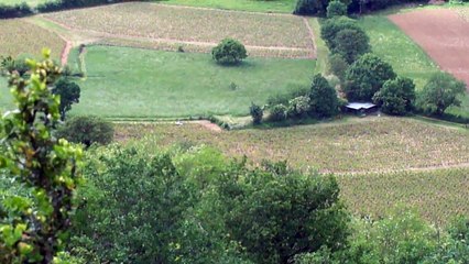 Macon VDP 2015 PSS au trou ou dans les buis