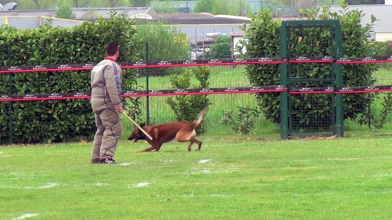 Bande annonce, sélectif 2015 AXEL