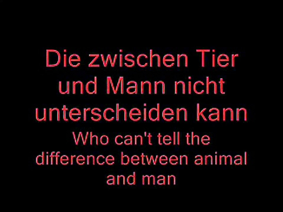 Tier - Rammstein Lyrics and English Translation