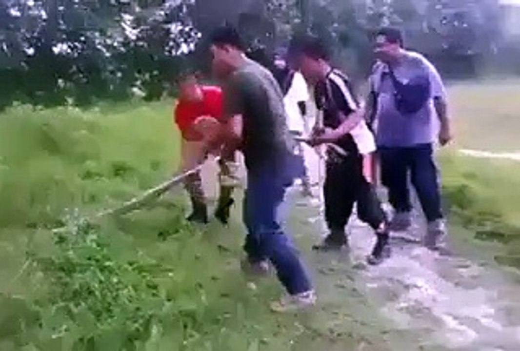 Amazing Very Big Snake