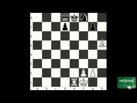 Echecs Tactique 4 fourchette et découverte
