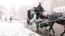 Nova York e nordeste dos EUA sob a neve