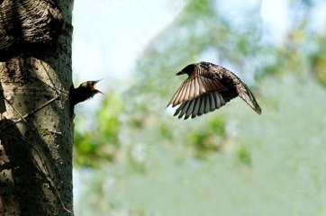 Gündem / 22 Mayıs 2015