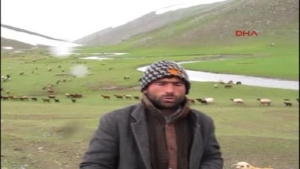 Ağrı Iğdırlı Göçerler, Ağrı Dağının Yaylasına Çıktı