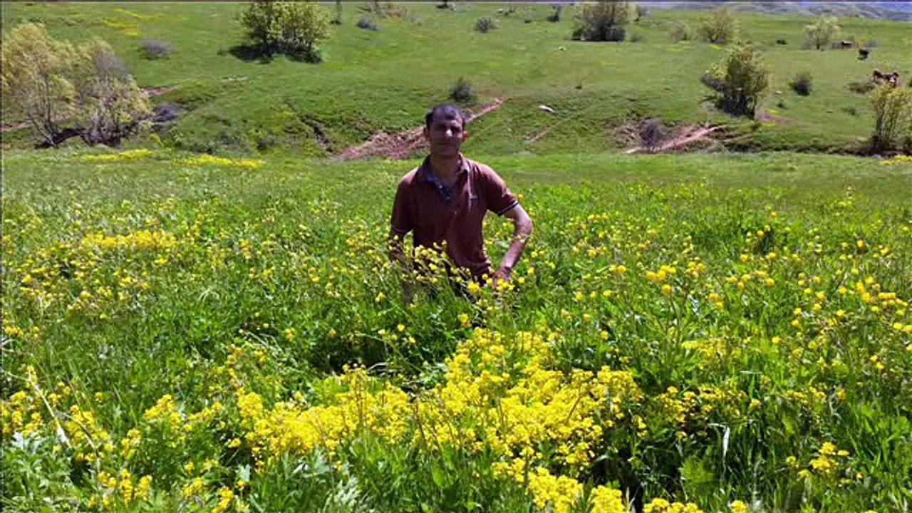 SİDAR BERİTAN VE XEZAL U DELAL LO ŞIVANO KLİP VİDEO 2015