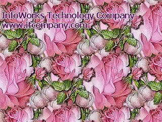 Meer Badshah Khan Song 🎶