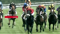 Hippisme - Prix du Jockey Club : bande-annonce