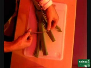 Décoration Poireau en Palmier