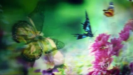 Suburbia 21-05-2015 Parte 2/3 Completo - Luz, Câmera 50 anos