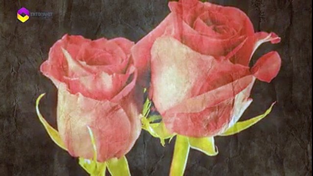 Ve bir ses yükseldi Amine'nin Evinden...Hoş geldin Efendim... Muhammed-ül Emin...