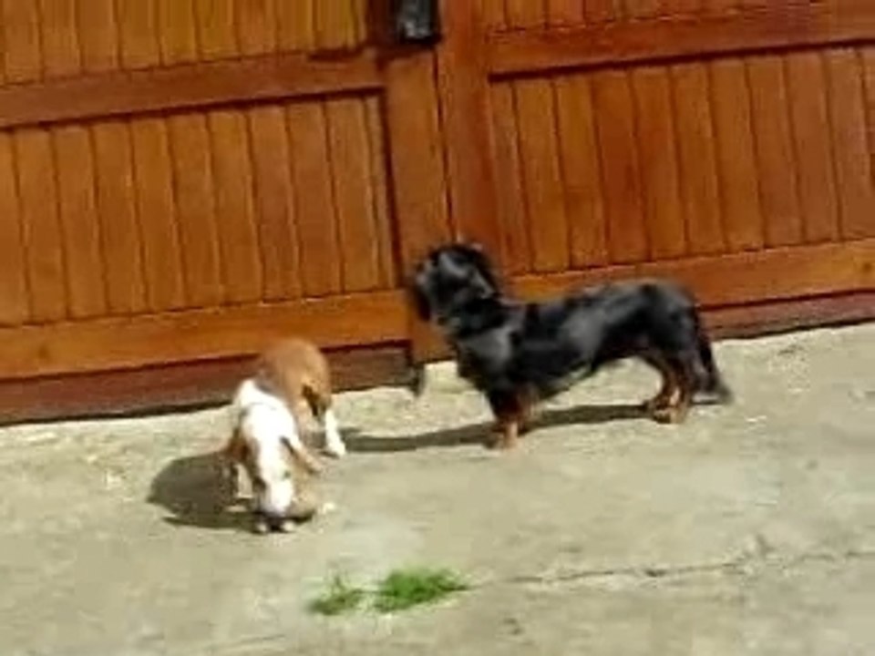 Chloé et Bilitis jouent à la poupée