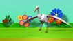 Learn English Birds Names - 3D Animation Preschool Nursery rhymes for children with Lyrics