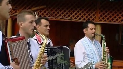 Ionica Ardeleanu  -  Mama mea cand m-a facut