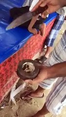 How People are Doing Fraud By Selling Less Chicken Weight in Pakistan