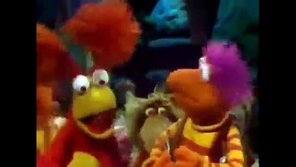 D Most Funny Monkey Videos 2015