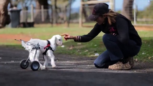 Mutlu Olmak İçin İyilik Yap!Mutluluğa sebep olmak insanı insan eder, insanı mutlu eder...İzleyelim...