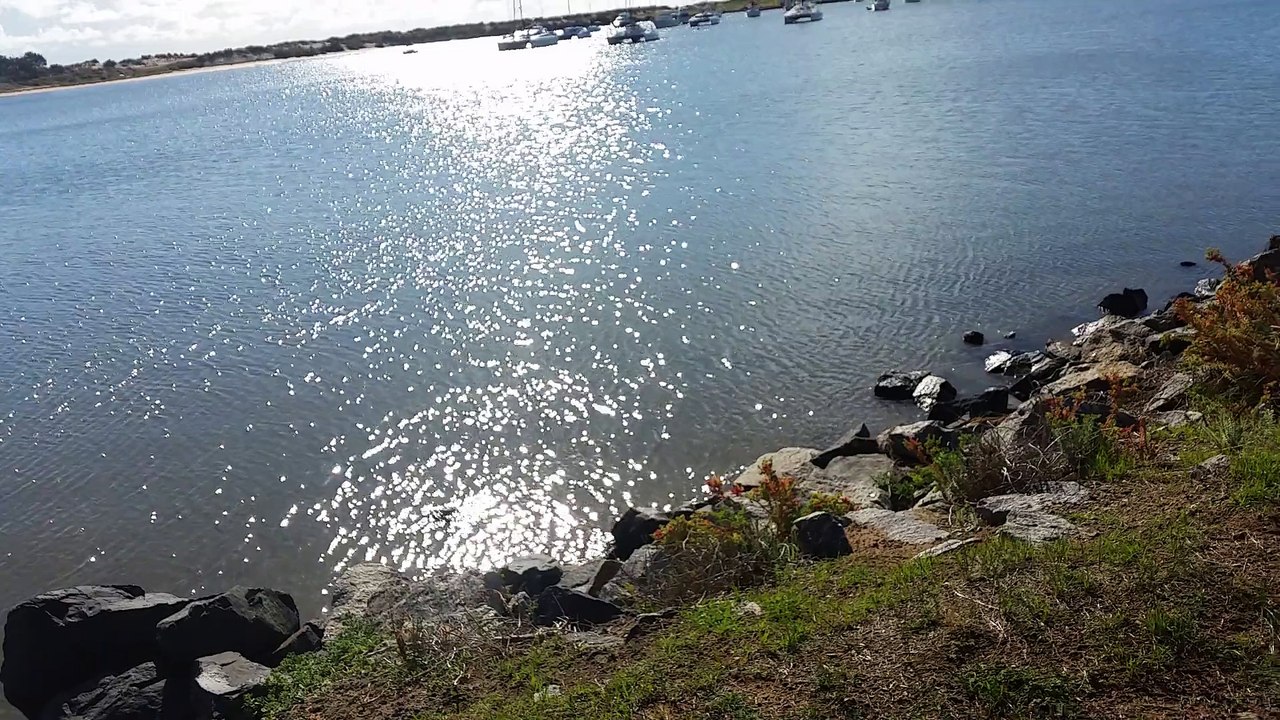 Estuarine Views