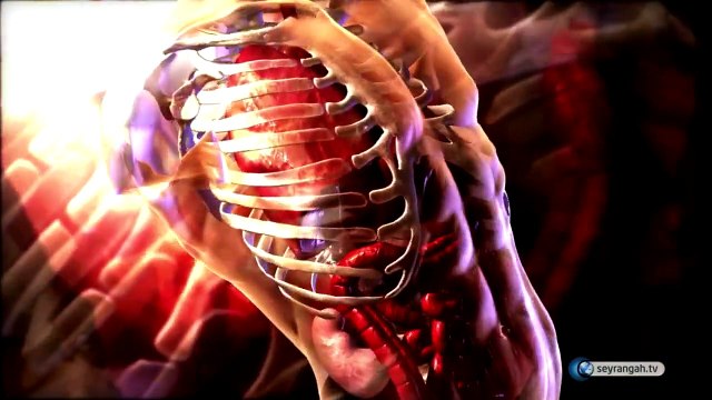 Yine muhteşem bir video...Yaratılan bütün varlıkların arasındaki yardımlaşmanın hikmeti nedir? Neden birbirlerinin yardımına koşarlar?