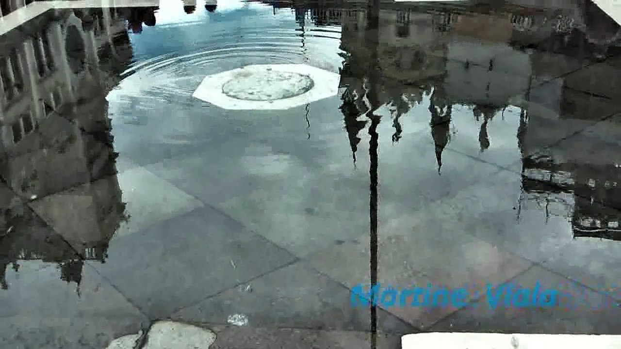 2013-Trans-lucides des apparences-web