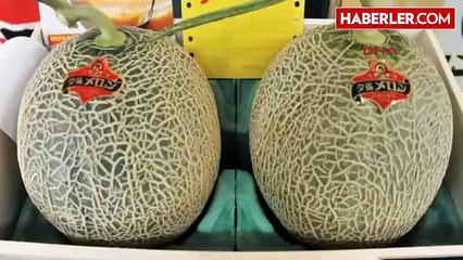 İki Kavun, 34 Bin Liraya Satıldı