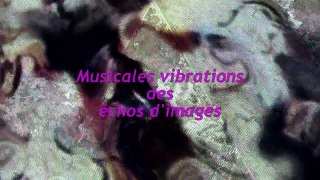 2014-Musicales vibrations des échos d'images