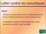 Lutter contre les moustiques