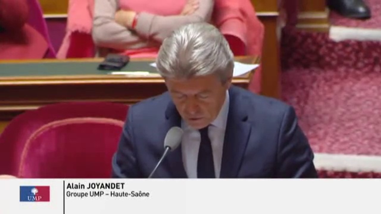 Alain Joyandet - Régime social des indépendants