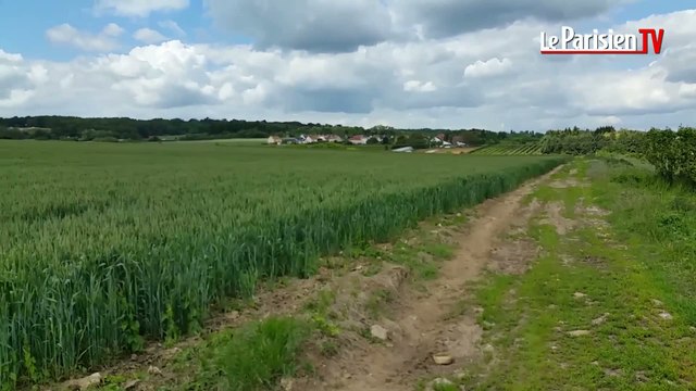 PSG : Poissy en lice pour le futur centre d'entraînement