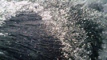 Mares Tempestuosos, Aventuras de Marcelo Ambrogi, Mar Leste, Mergulhos em apneia, Ubatuba, SP, Brasil, 21 de maio de 2015, (3)