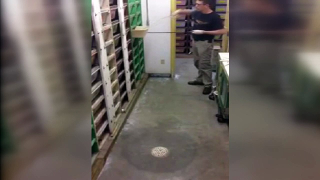 Böyle bir iş ister miydiniz?