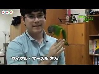 NHK特ダネ！投稿DO画8/8放送分より「芸達者なインコに世界が仰天」
