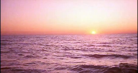 Sei andata via Alina? E CHI SE NE FREGA !!