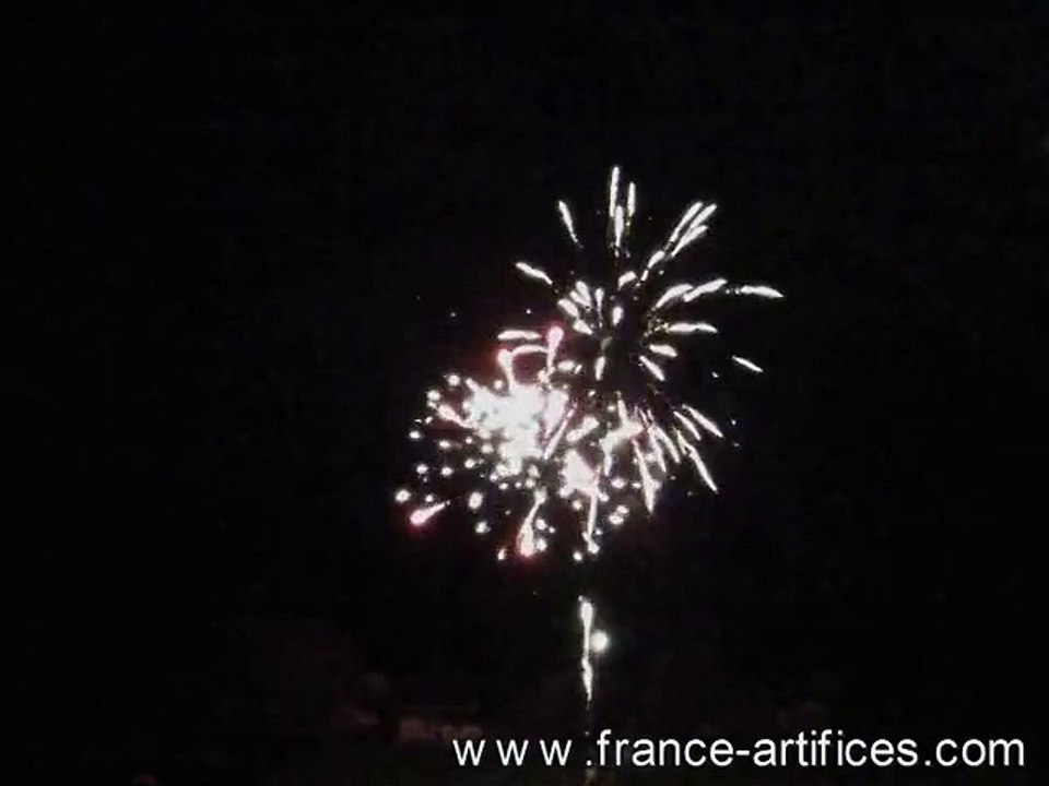 feu d'artifice automatique soir de fête n°2