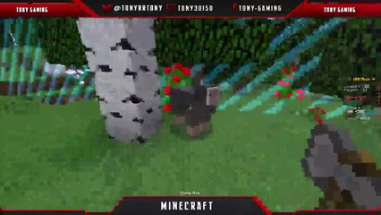 Chaine Principale - Manzaille TV (REPLAY)