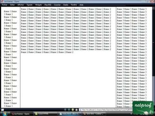 HTML 10 : Les frames