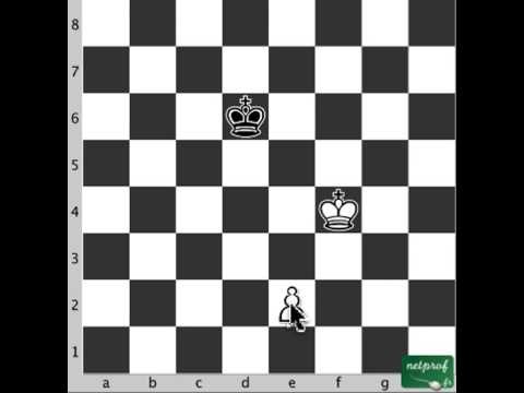 Echecs Finales 3 pion