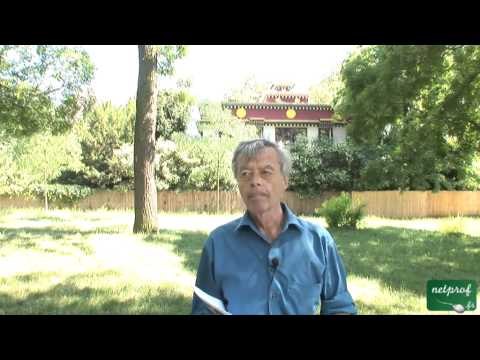 10 Les lieux de Culte : Centre Boudhique de Vincennes