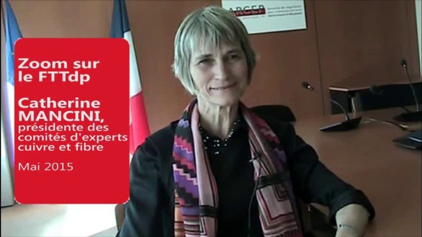 Interview de Catherine Mancini, présidente du comité d'experts cuivre (20 mai 2015)