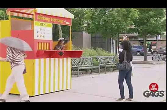 Dog Sells Hot Dogs ! ! Dogs Hot Sells Dog