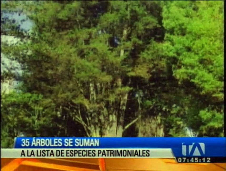 35 árboles se suman a la lista de especies patrimoniales