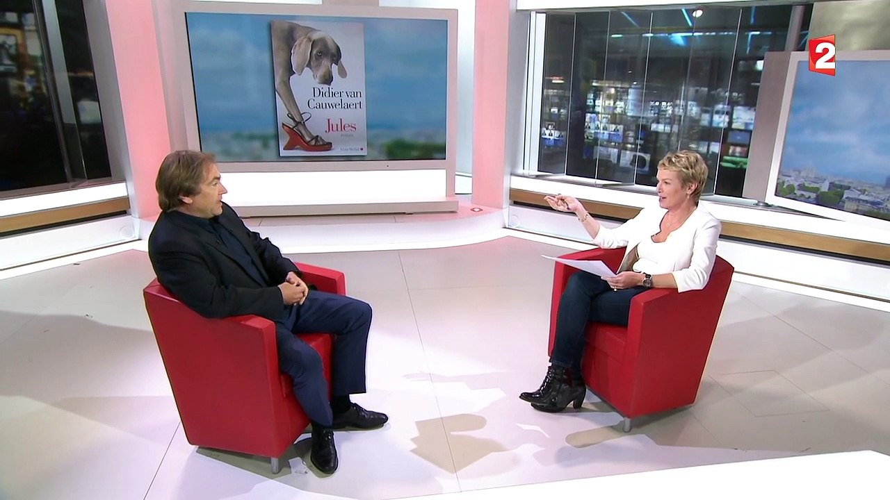 "Jules" : l'incroyable histoire d'un chien d'aveugle