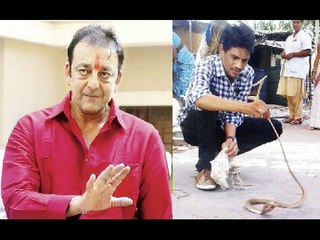 Cobra found near Sanjay Dutt's cell in Yerawada jail