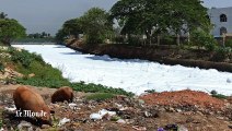 Inde - à Bangalore, un lac si pollué qu'il prend feu