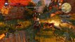 The Witcher 3 : Wild Hunt - Balade, combat, interface