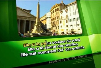 KARAOKE DIDIER BARBELIVIEN - Elle