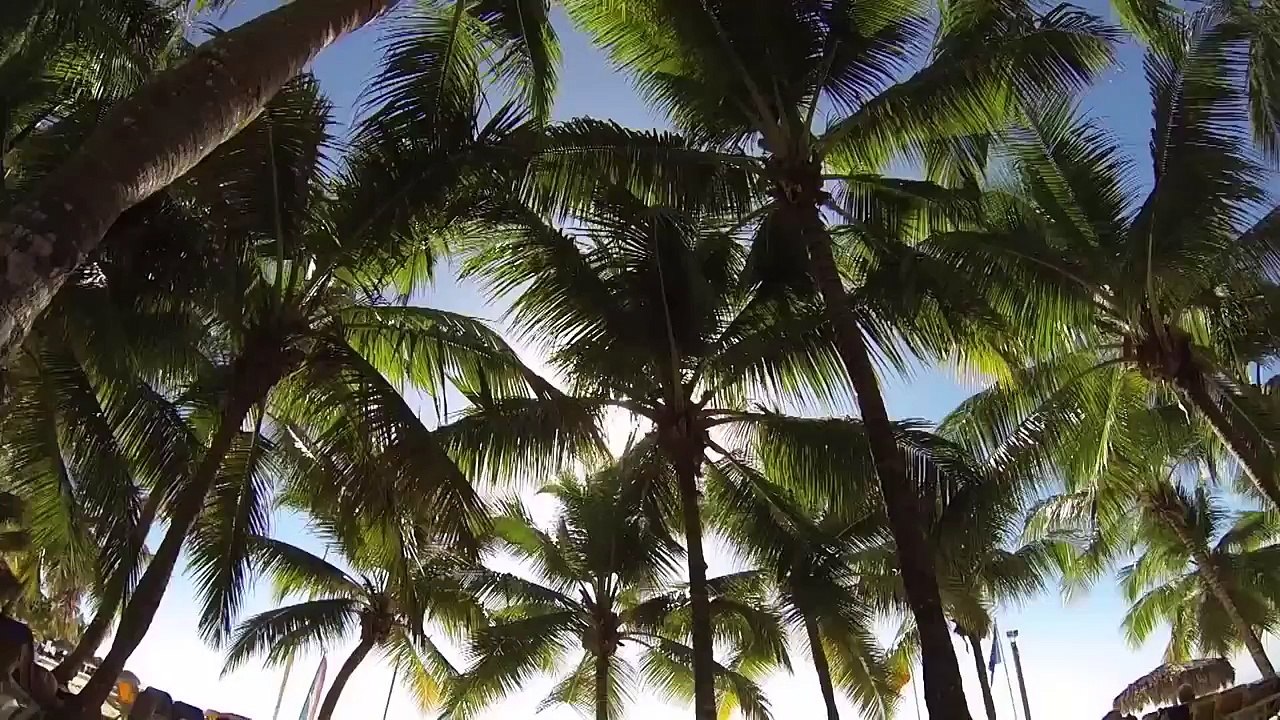 Hotel Viva Wyndham Dominicus Beach La Romana (Bayahibe)