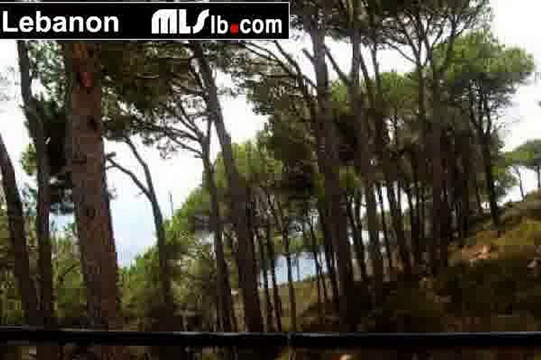 Apartment For Rent In Broumana - mlslb.com
