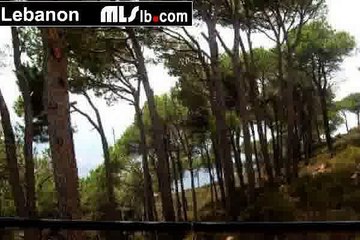 Apartment For Rent In Broumana - mlslb.com