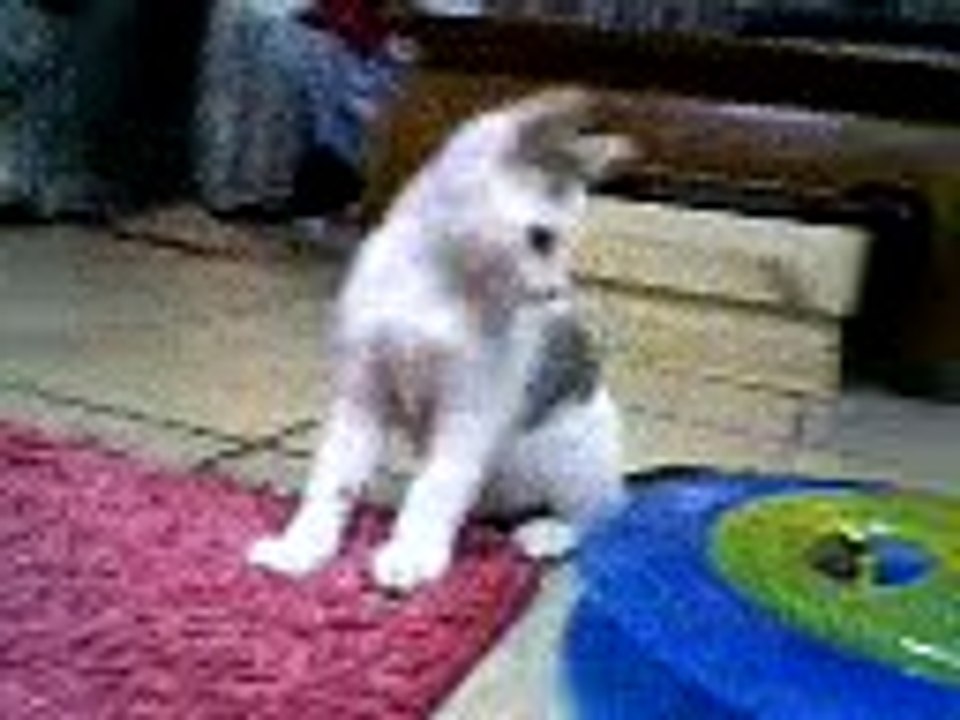 MIKITY souvenir de mon petit ange blanc